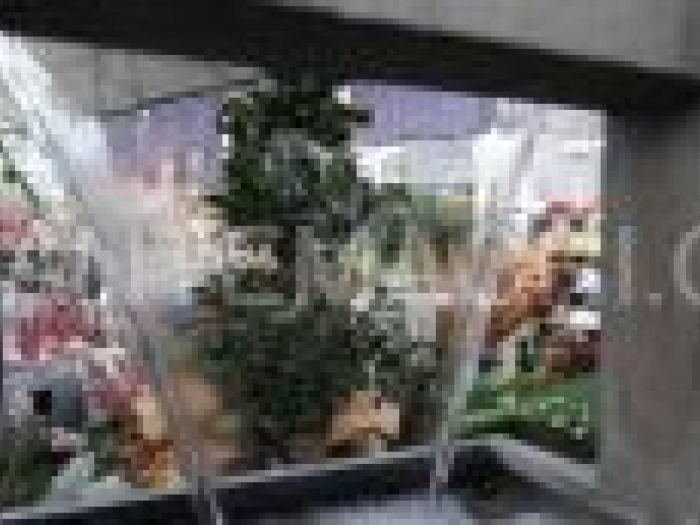 Archisio - Piante Macri - Progetto Il garden