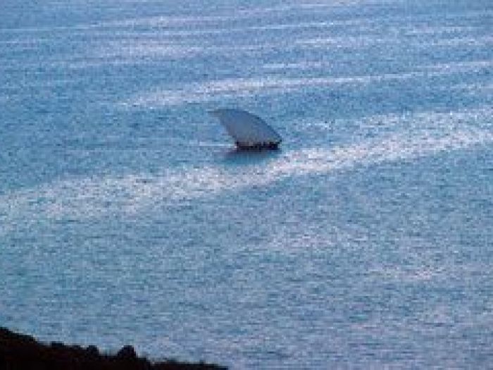 Archisio - Nico Marziali - Progetto Lucca e africa