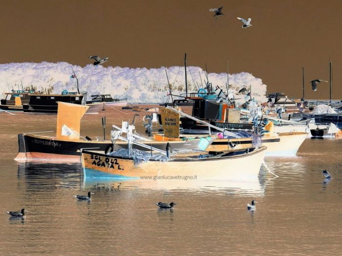 Archisio - Gianluca Vetrugno Meltem Kosan the Art Of The Negative - Artisti - Progetto Galleria 2 paesaggi