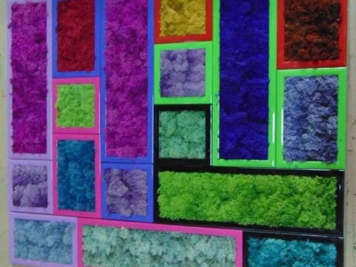 Archisio - Fiorissima Italiana srl - Progetto Muri vegetali stabilizzati