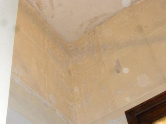 Archisio - Fdm Costruzioni Srl Impresa Edile A Roma - Progetto Ristrutturazione interni