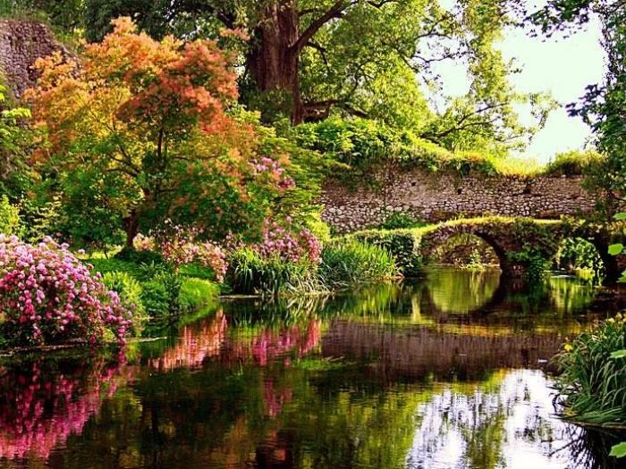 Archisio - Vivai Cantatore - Progetto Piante