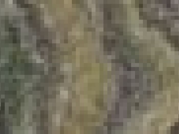 Archisio - Payanini The Stone Brand - Progetto Payanini