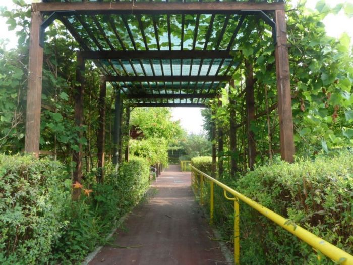 Archisio - Luca Docci - Progetto Giardino terapeutico alzheimer residenza per anziani