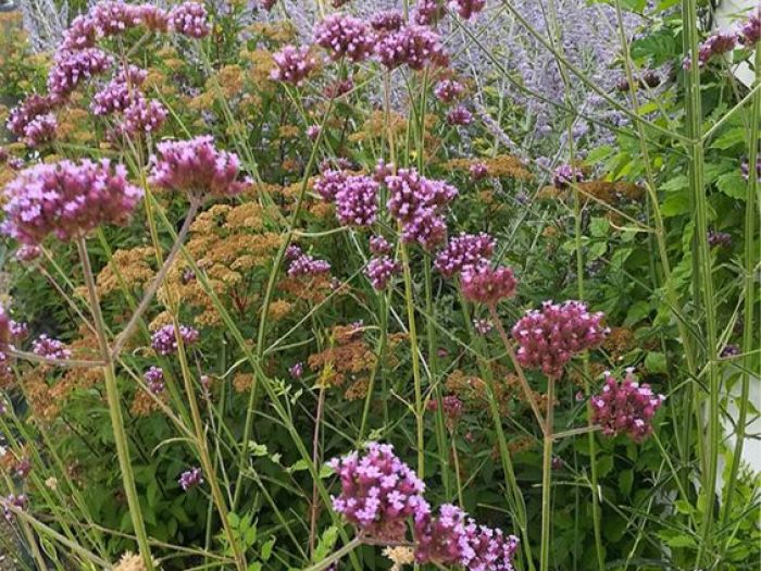 Archisio - Fabio Uguccioni - Progetto Un giardino tra le colline Country house a senigallia an