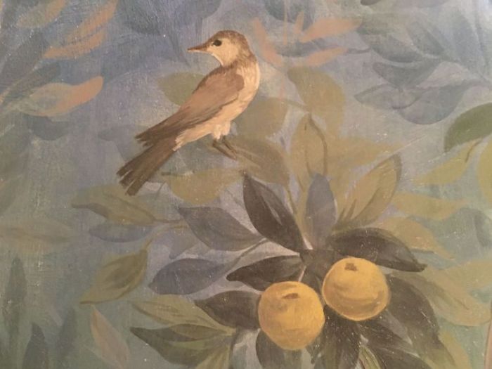 Archisio - Vania Muretto - Progetto Decorazione pittorica D interni