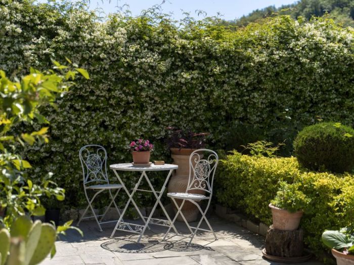 Archisio - Elena Meoni - Progetto Bb