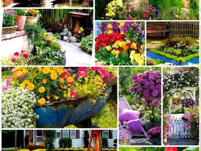 Archisio - Vivai Cantatore - Progetto Piante