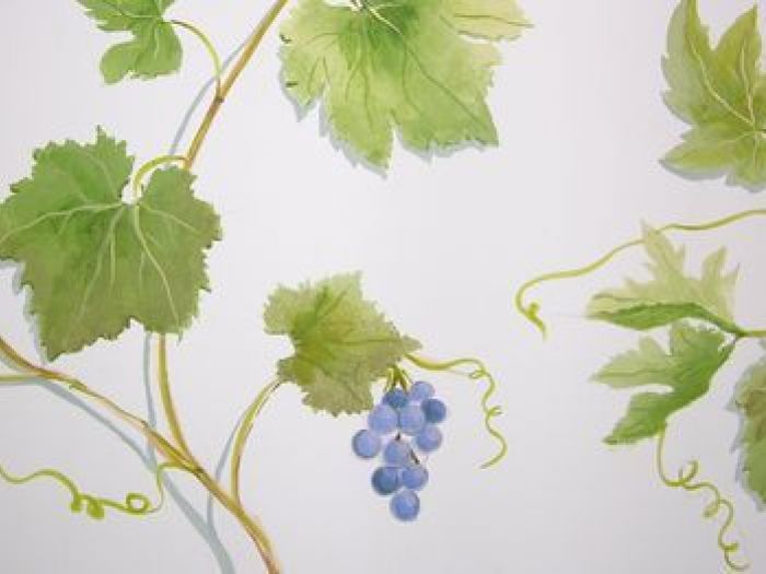 Archisio - Laura Zanello - Progetto Decorazioni murali