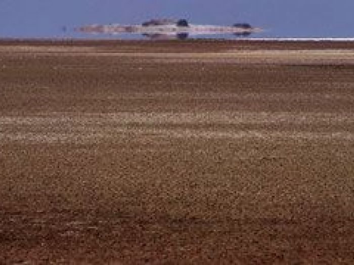 Archisio - Nico Marziali - Progetto Lucca e africa