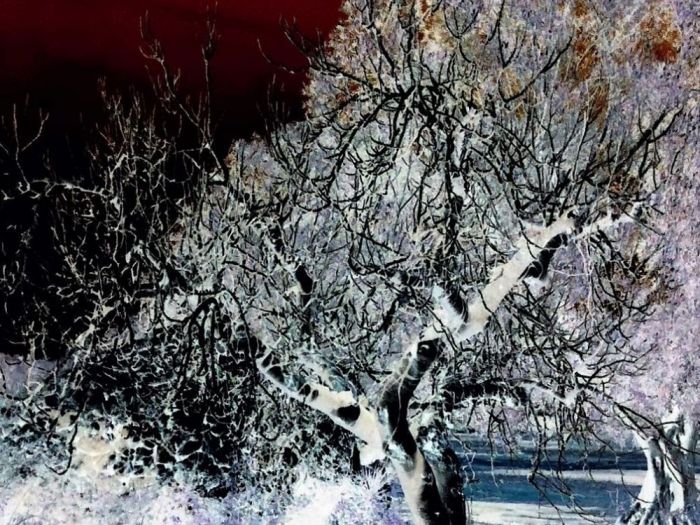 Archisio - Gianluca Vetrugno Meltem Kosan the Art Of The Negative - Artisti - Progetto Galleria 2 paesaggi