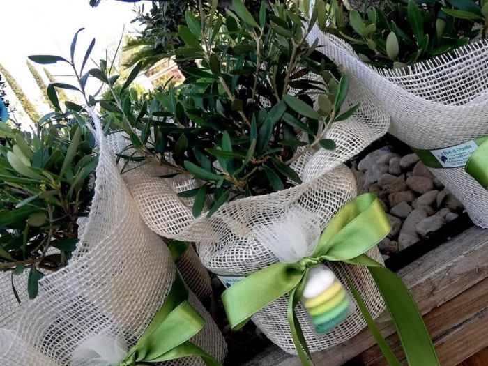 Archisio - Robi Bonaita Alessio Bonaita Fabiano Bonaita - Progetto Le composizioni di ornella