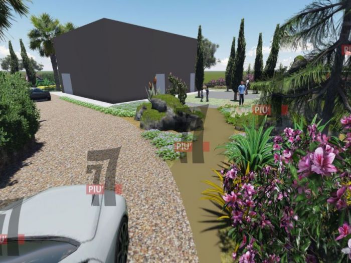 Archisio - Tindara Crisafulli - Progetto Anax imperator