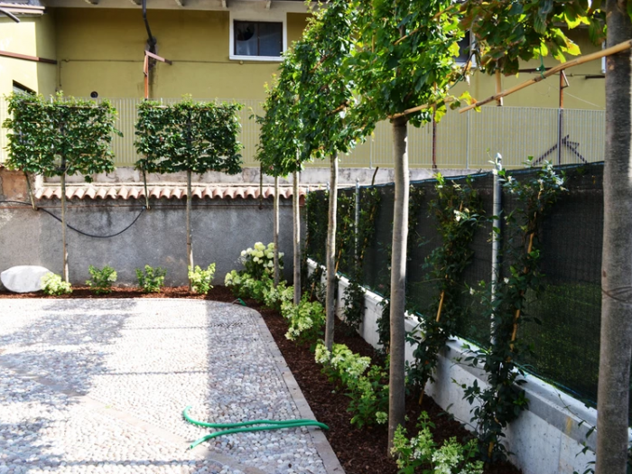 Archisio - Lugo Architettura Del Paesaggio - Progetto Realizzazione-ville e case private