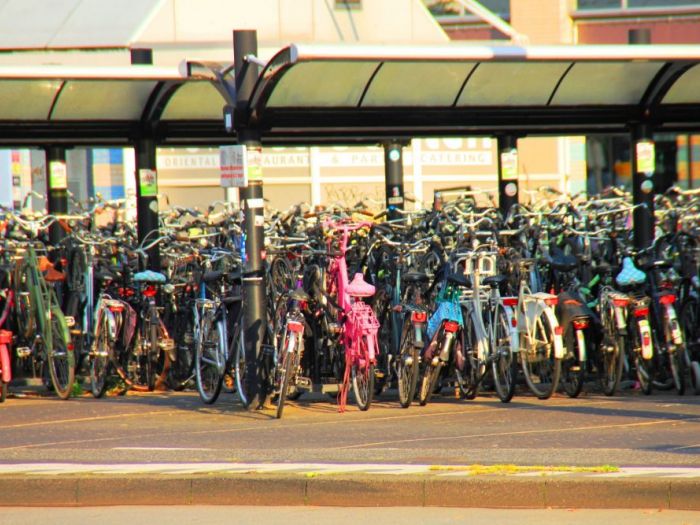 Archisio - Luca Righetto - Progetto Olanda 2017