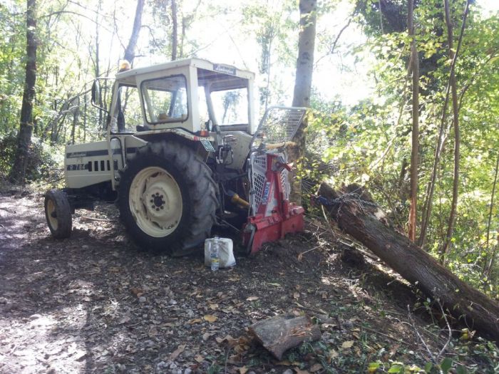 Archisio - Il Dottore Del Verde Di Bruno Barnaba - Progetto Utilizzazioni boschive