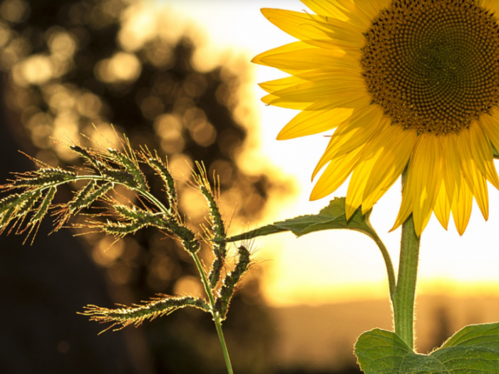 Archisio - Atech srl - Progetto Impianti solari termici