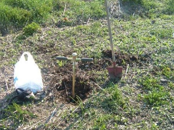 Archisio - Amp Studio Architettura Progettazione Ambientale - Progetto Progettazione ambientale