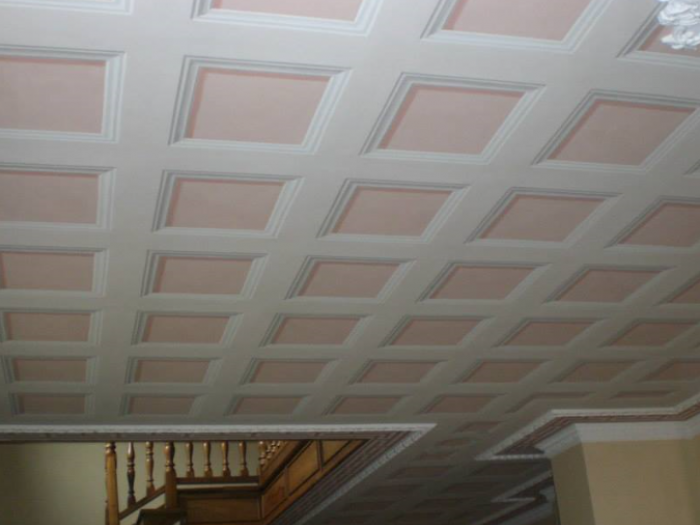 Archisio - Cherasco srl - Progetto Tinteggiature e decorazioni di edifici civili