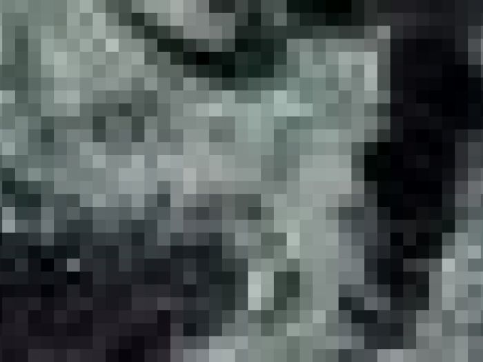 Archisio - Payanini The Stone Brand - Progetto Payanini