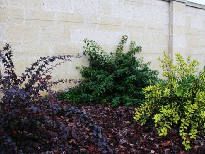 Archisio - Gabriele Fanuli - Progetto Nel giardino di gianluigi e barbara