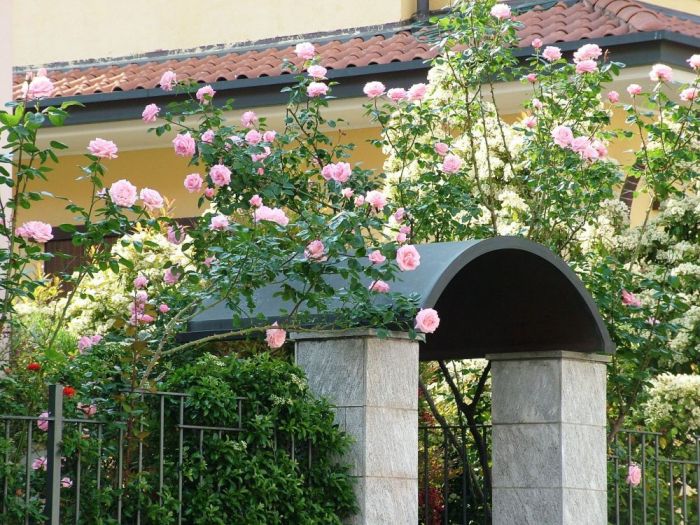 Archisio - Luca Righetto - Progetto Progettazione giardini varese busto arsizio Scompigliate seduzioni