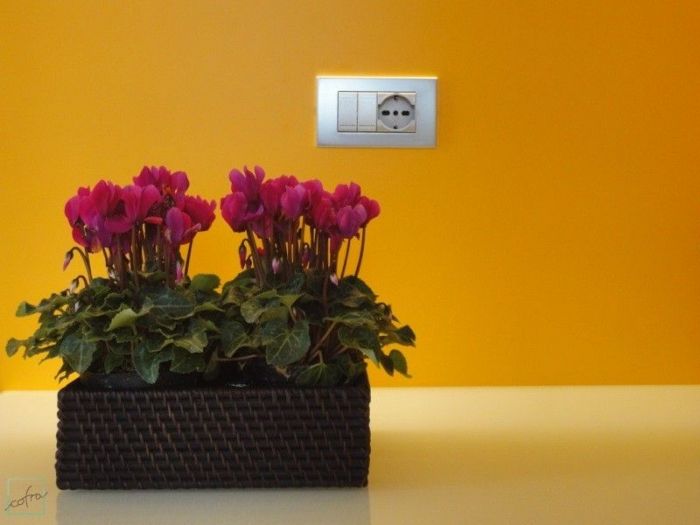 Archisio - Cofra Architettura Design Innovazione - Progetto Ristrutturazione ambienti