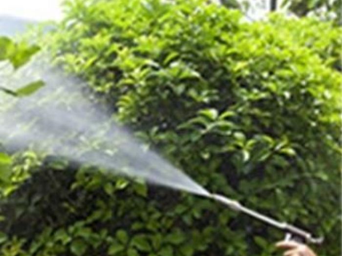 Archisio - Giardiniere Di Verdecchia Danilo - Progetto Disinfestazioni