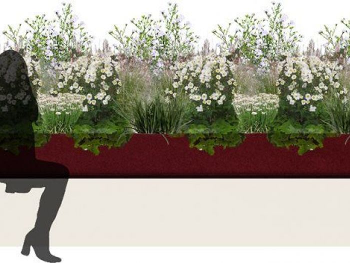 Archisio - Gianluca Fricchione - Progetto Appalto integrato sede bpf