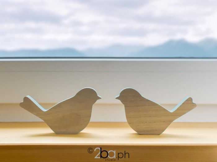 Archisio - 2ba Studio - Progetto Fotoracconto bb lupo