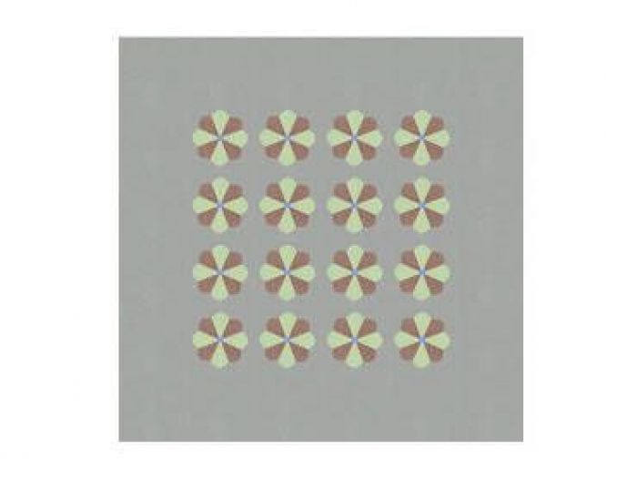 Archisio - Romano Pavimenti - Progetto Cementine