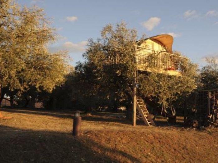 Archisio - Casalberi - Progetto La casa nelloliveto