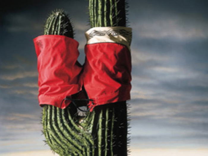 Archisio - Tiziano Colombo - Illustratore E Decoratore - Progetto Fondali scenografici