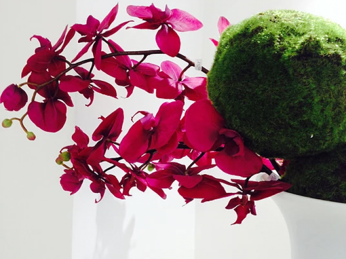 Archisio - Studio Pastore Architettura - Progetto Showroom moda colosseo