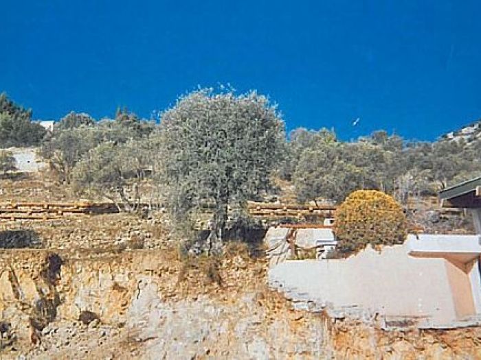 Archisio - Impresa Edile Bertucci - Progetto Carpenteria lignea e ingegneria naturalistica