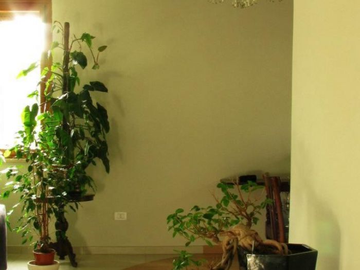 Archisio - Alessandro Saffioti - Progetto Appartamento