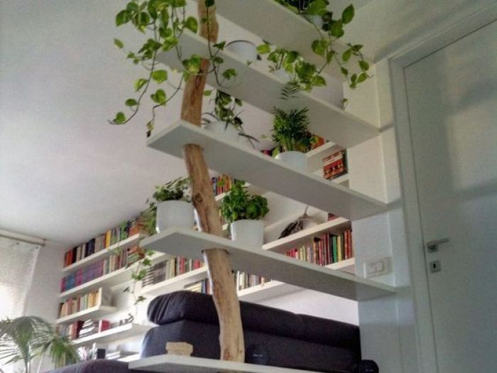 Archisio - Cleide Ardia - Progetto Progetti da provare