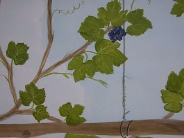 Archisio - Laura Zanello - Progetto Decorazione soffitti