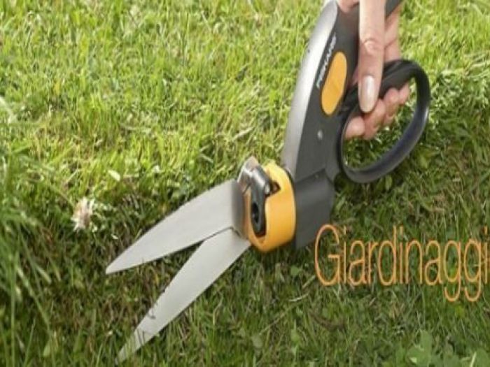 Archisio - Laandcr Giardinaggio - Progetto Potatura