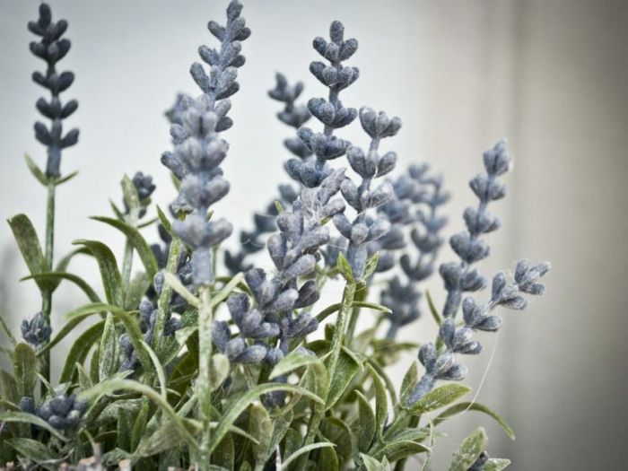 Archisio - Studio Di Progettazioni Darchimire - Progetto Ambulatorio con palestra