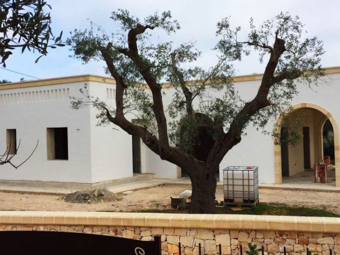 Archisio - Impresa Edile Angelo Sacco - Progetto Geometra angelo sacco