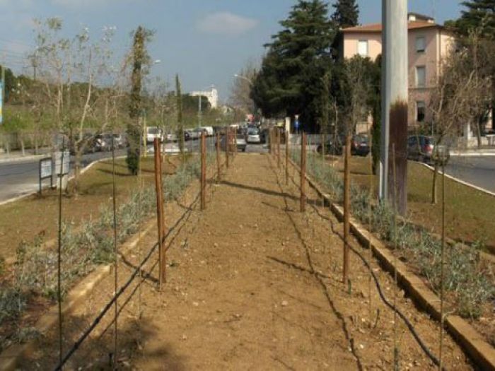 Archisio - Open Space Projects - Progetto Rotatoria pza lamarmora