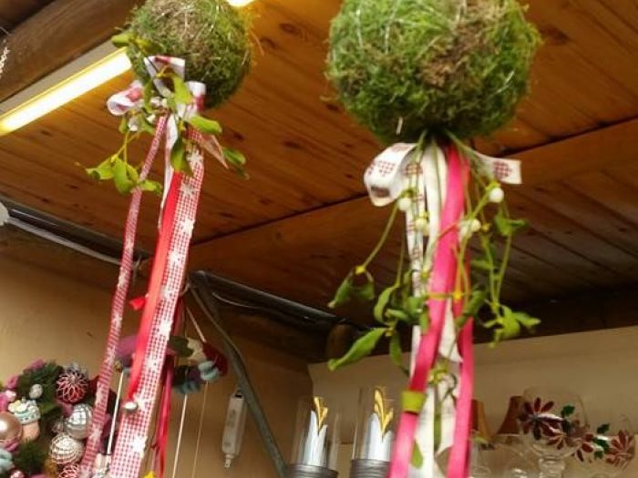 Archisio - Massarroni - Vivai Piante - Garden - Progetto Vivai e piante