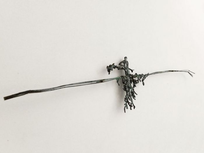 Archisio - Studio Cc - Progetto Nuto