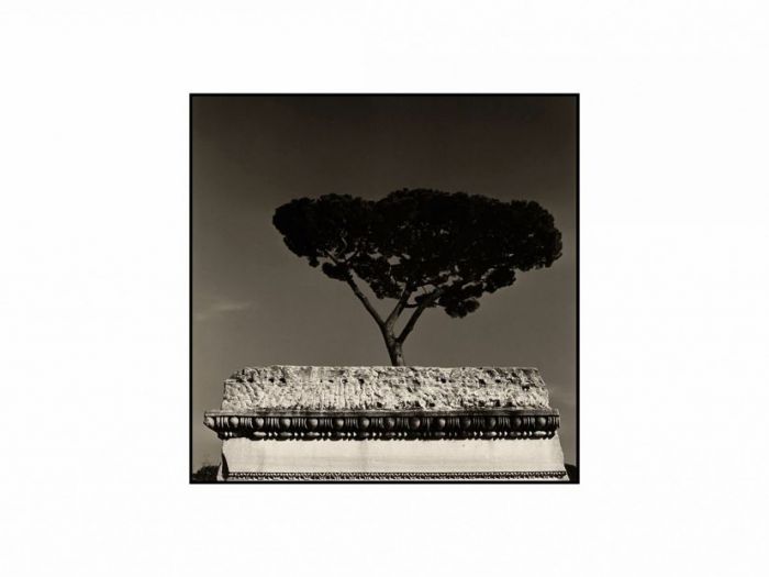 Archisio - De Luca Augusto - Progetto Roma - foto augusto de luca