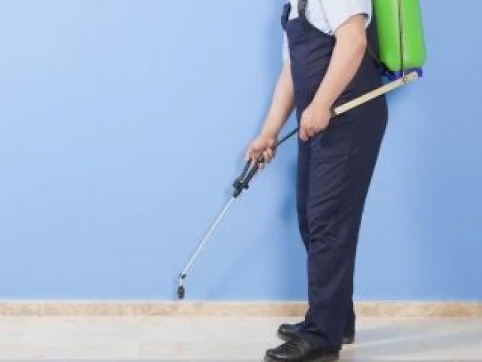 Archisio - Mustop - Progetto Deblattizzazione