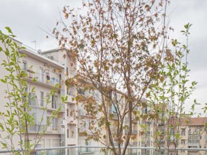 Archisio - Silvia Del Piano - Progetto Attico