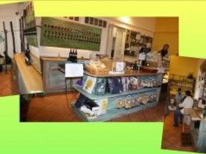 Archisio - Falegnameria Odino Egidio - Progetto Esercizi commerciali