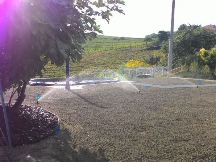 Archisio - Claudio Raiteri Verde Giardino - Progetto Irrigazione rigenerazione pratorigenerazione pratotree climbingisolamento solai