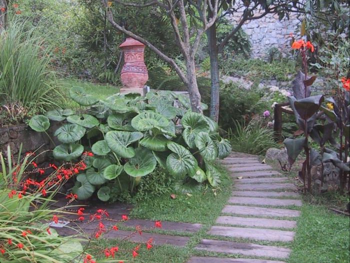 Archisio - Gardenstudio - Progetto Progetto giardino